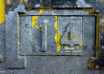 NICSTE14: Complete Guide, Tips & Real-World Insights