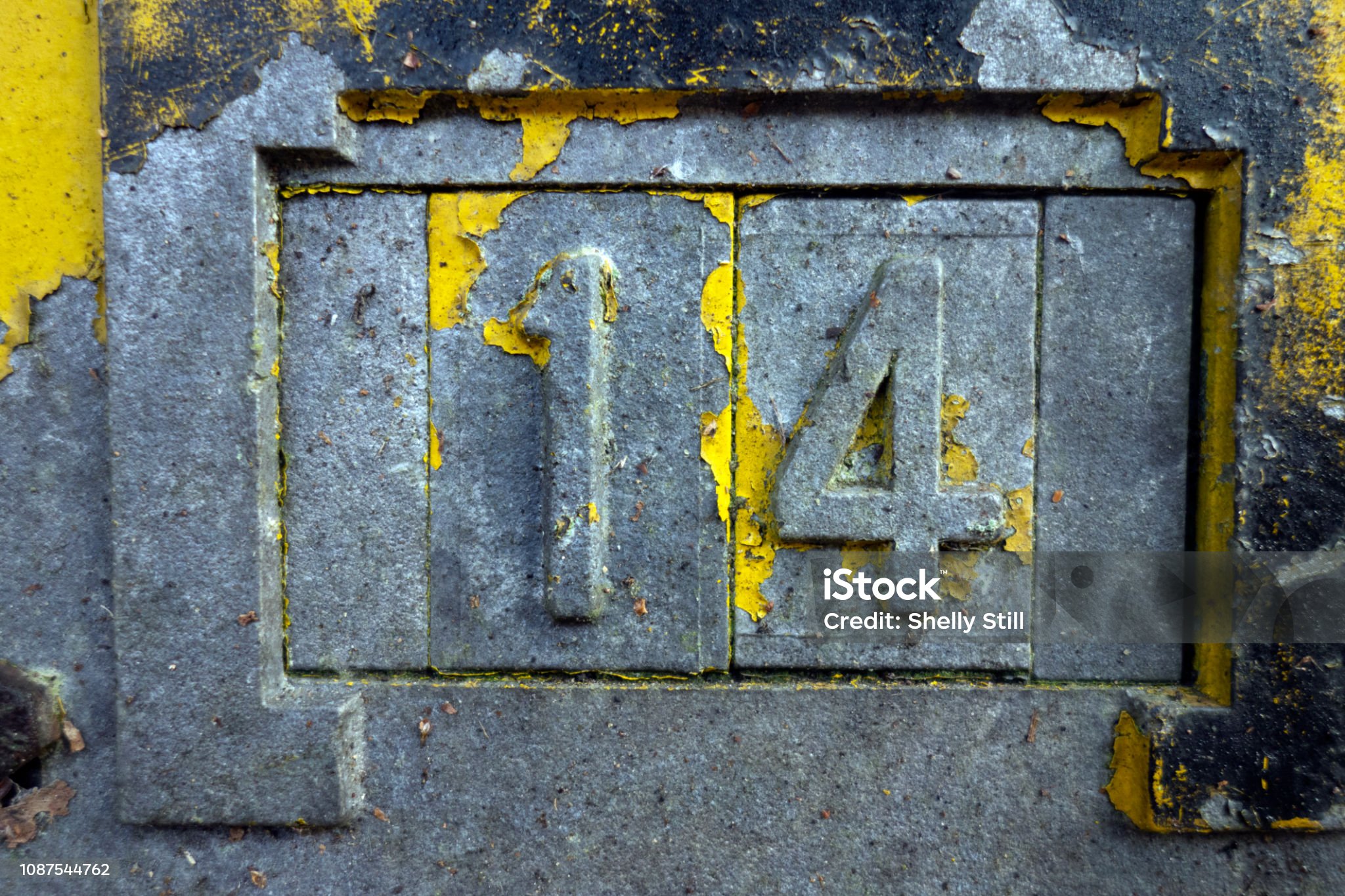 NICSTE14: Complete Guide, Tips & Real-World Insights