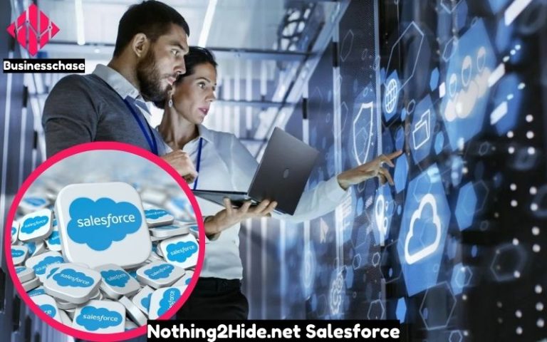 Nothing2Hide.net Salesforce: Smart Business Insights